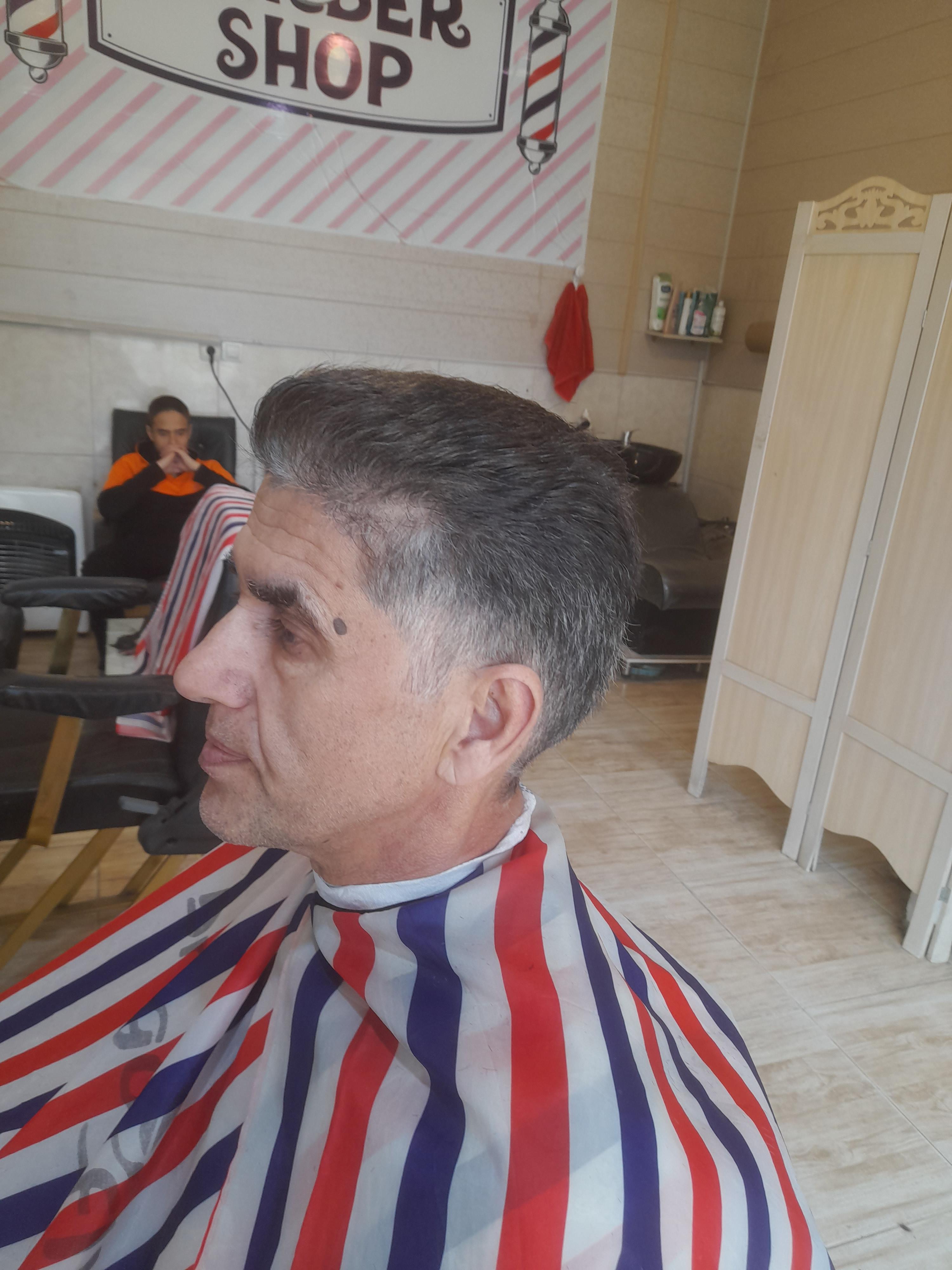 نمونه‌کار ۲ - پیرایش سناتور